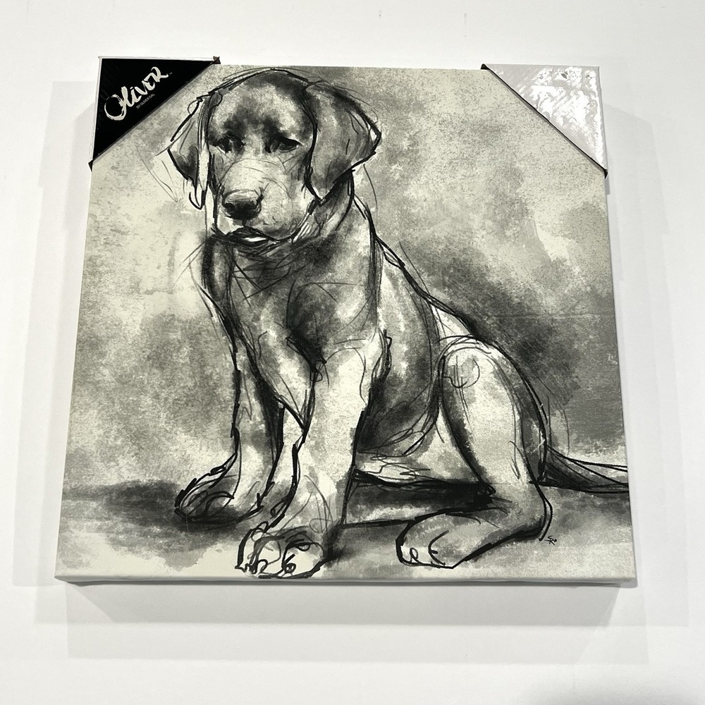 Black & White Sketch Of A Labrador Dog Canvas Wall Art Modern Animal Home 16x16